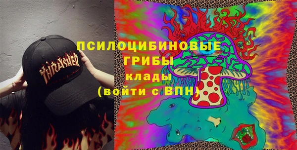 mix Белокуриха